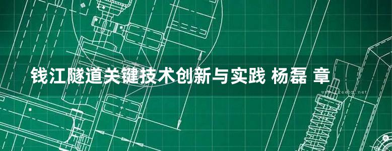 钱江隧道关键技术创新与实践 杨磊 章仁财  2013年版